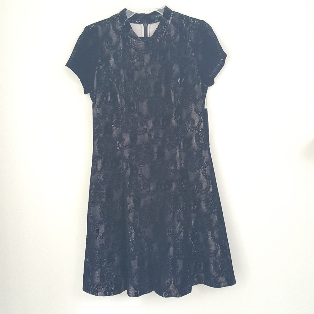 Cynthia Steffe Dress
